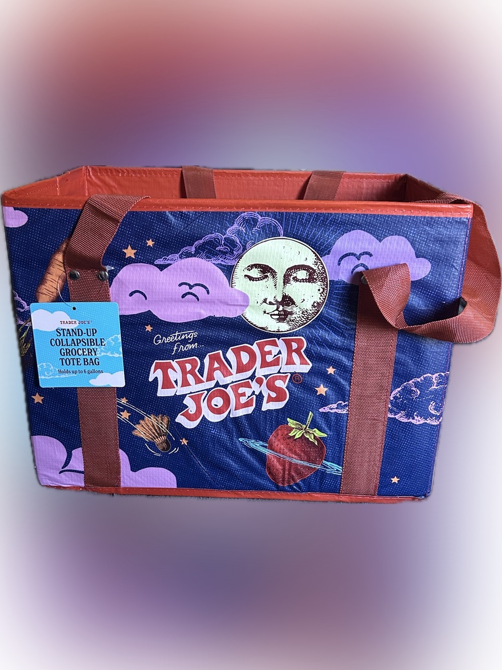Trader Joe's  Navy Blue Tote with Light Blue and White Accents